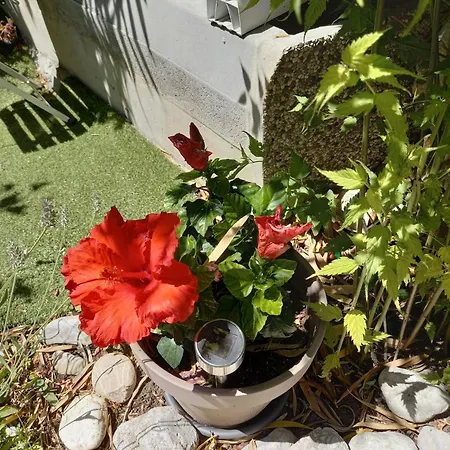 San Simon Near To Апартаменты