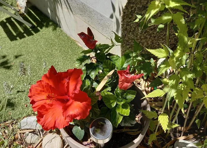 San Simon Near To Daire